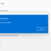 Windows 11 Professional License key Price In BD