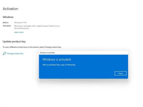 Windows 11 Professional License key Price In BD photo review